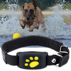 GPS-Tracker-Halsband für Haustiere