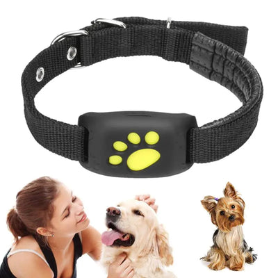 GPS-trackerhalsband voor huisdieren