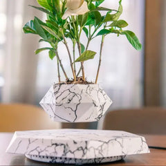 Schwebender Luft-Bonsai-Blumentopf