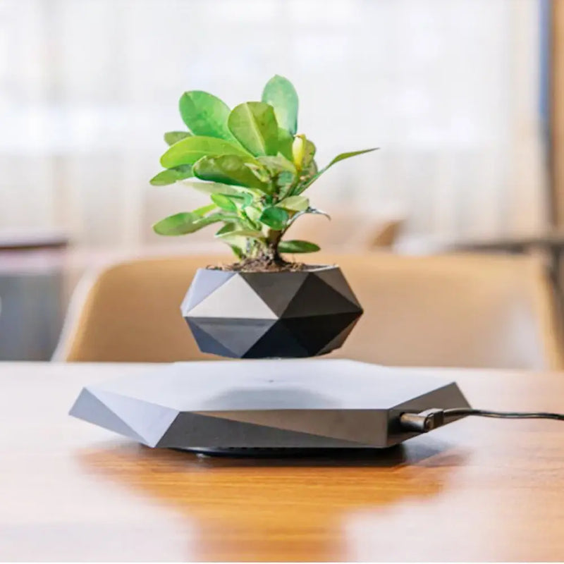 Schwebender Luft-Bonsai-Blumentopf